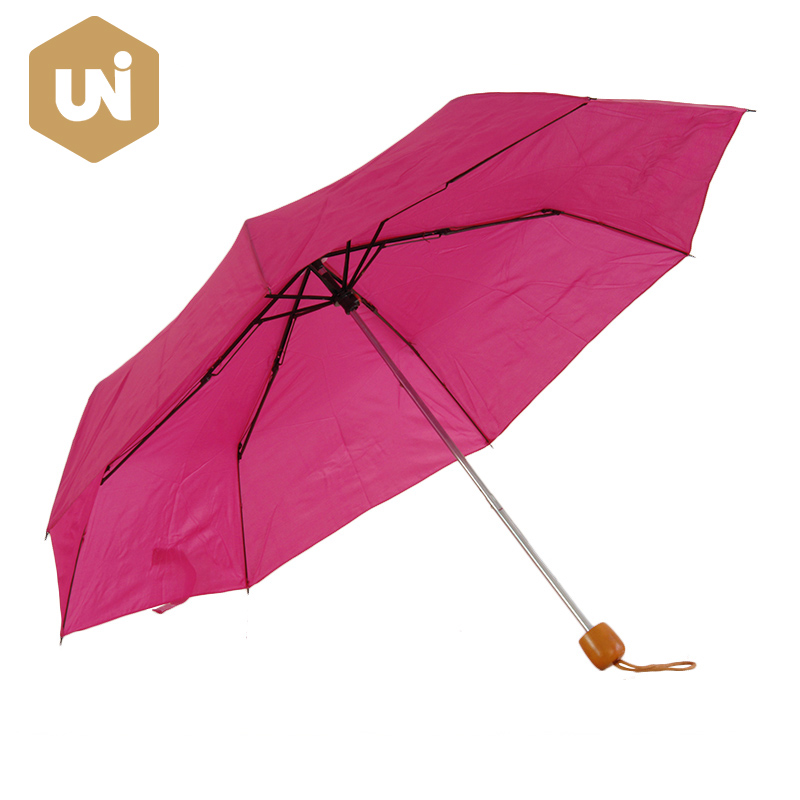 Umbrella iniompartha